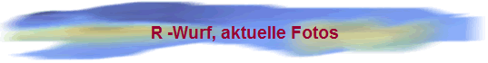 R -Wurf, aktuelle Fotos